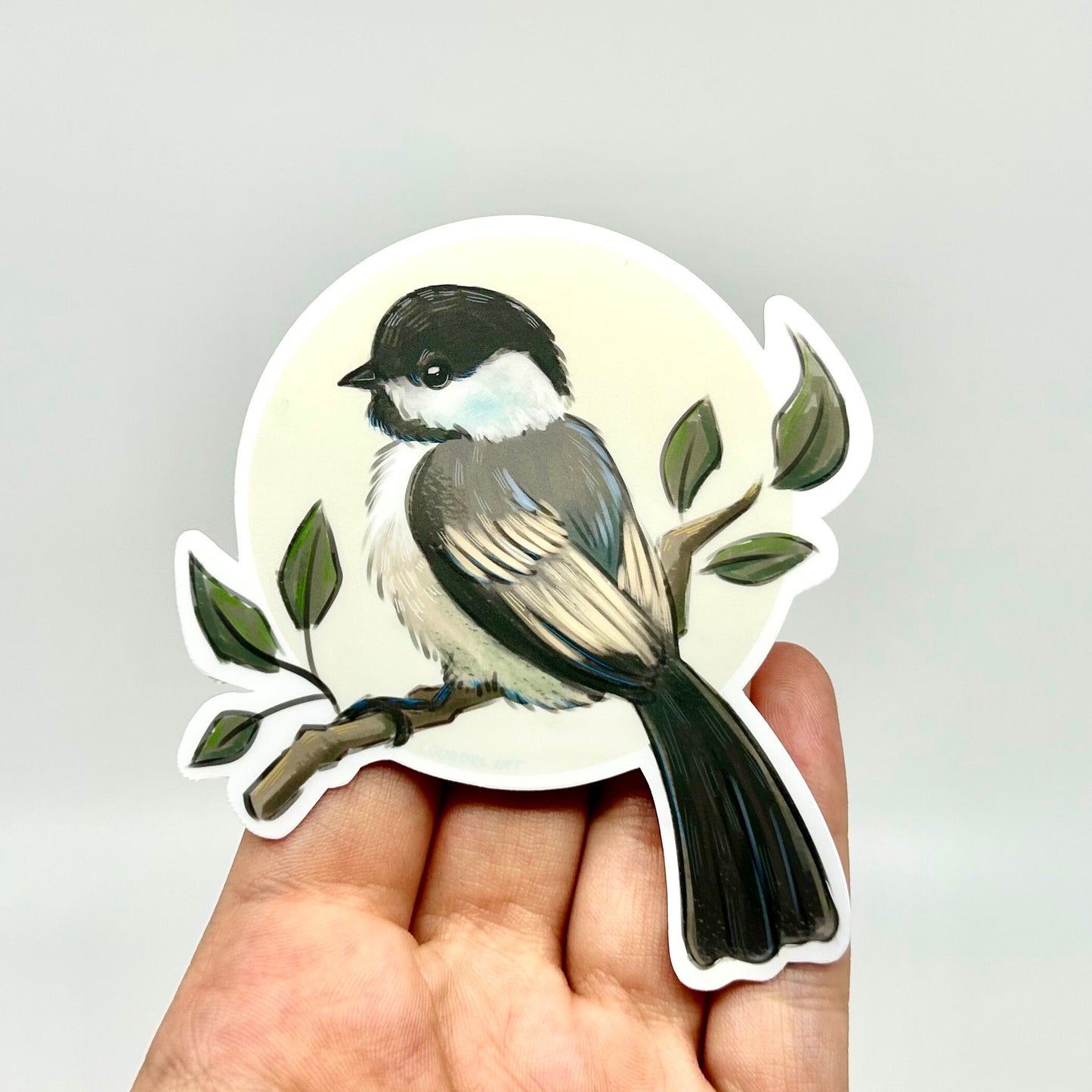 Cute Northeastern Chickadee Vinyl Sticker - Perfect for Ornithologists, Birdwatchers, and Sticker Collectors